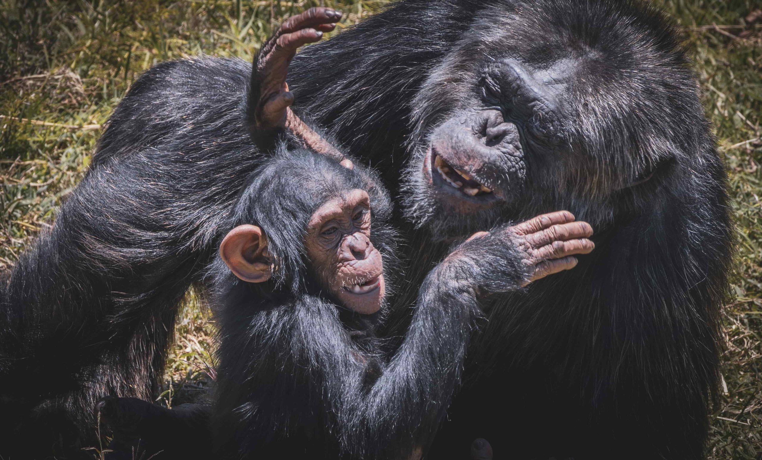 Nairobi Daytrip Excursions