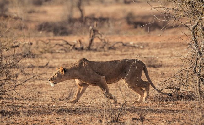 Samburu Tour Packages